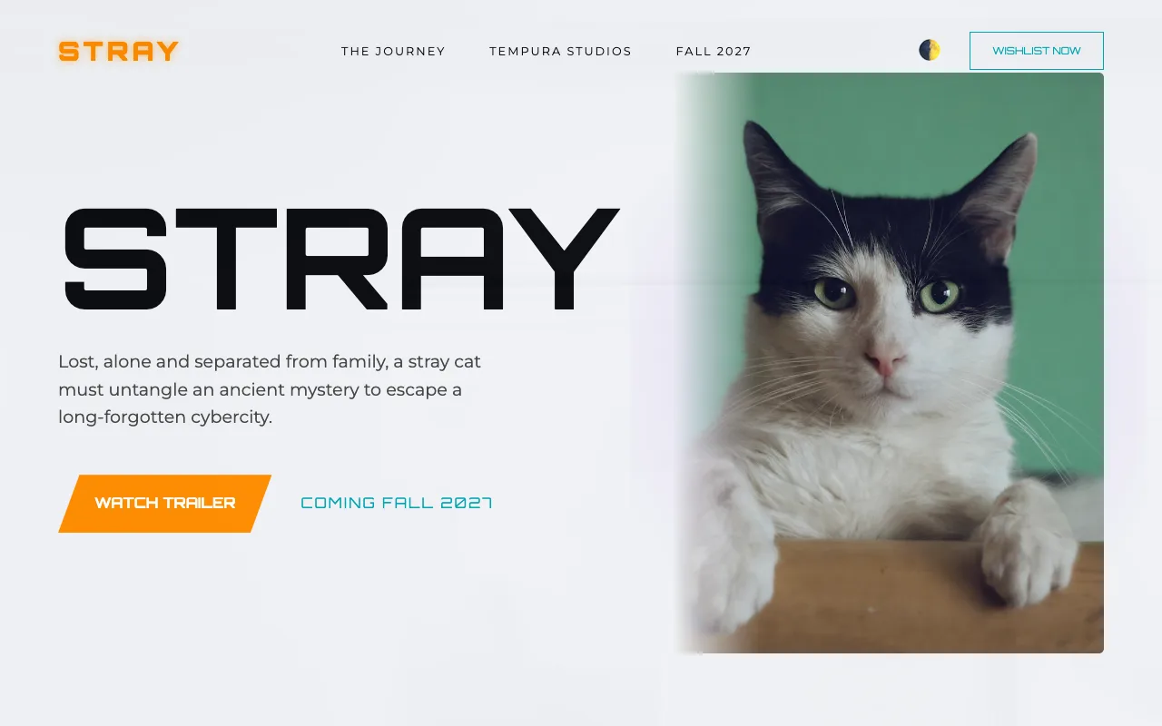 STRAY template preview